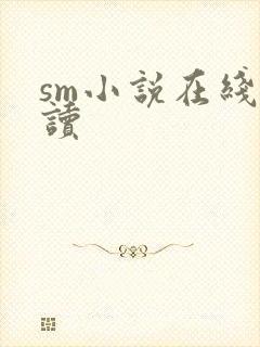 sm小说在线阅读