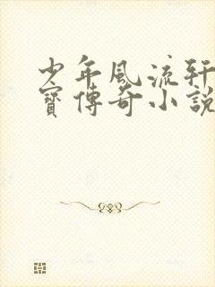 少年风流轩辕大宝传奇小说