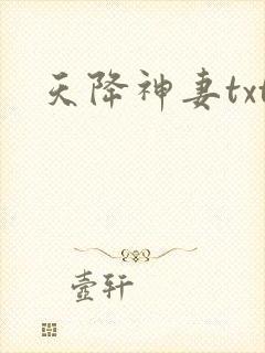 天降神妻txt