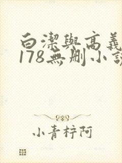 白洁与高义1～178无删小说