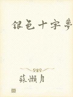 银色十字梦封面