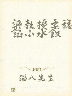 梁教授要稳住肉馅小水饺