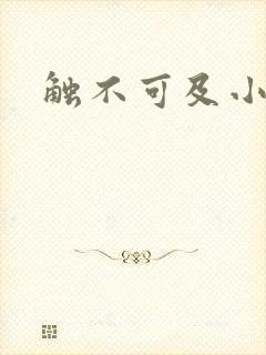 触不可及小说