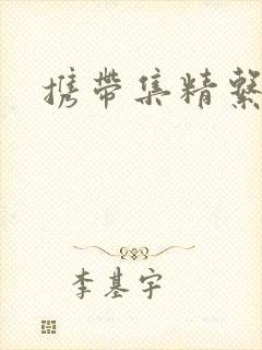 携带集精系统