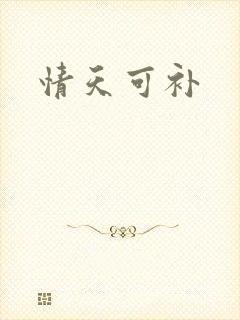 情天可补