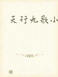 天行九歌小说