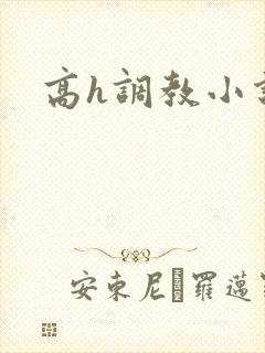 高h调教小说封面