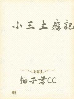 小三上瘾记封面
