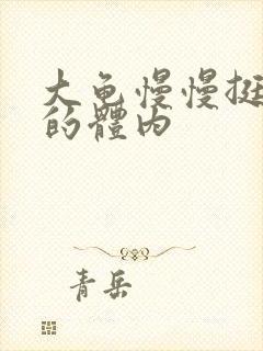 大龟慢慢挺进我的体内