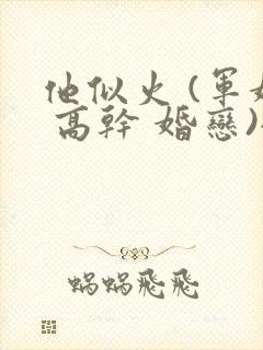 他似火 (军婚 高干 婚恋)全文免费百度云