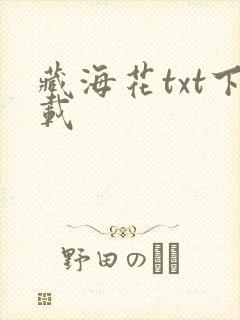 藏海花txt下载