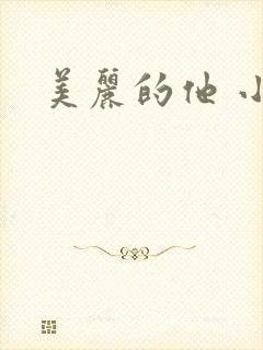 美丽的他 小说