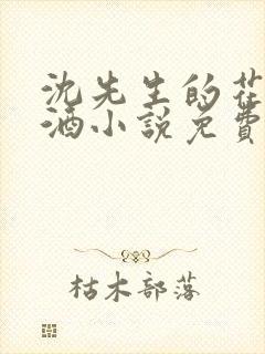 沈先生的花式调酒小说免费阅读