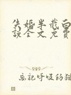 失婚半截白菜小说全文免费阅读