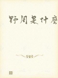 野周是什么意思