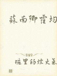 苏南卿霍均曜最