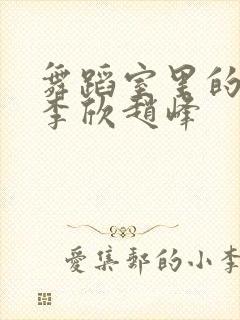 舞蹈室里的景色李欣赵峰封面