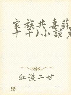 家族共妻苏苏(十千)小说免费