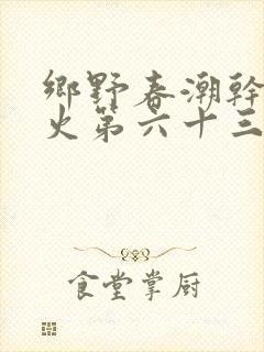 乡野春潮干柴烈火第六十三章