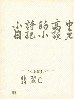 小诗的高中成长日记小说免费阅读