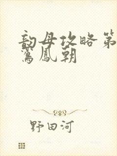 韵母攻略第二部鸾凤朝封面