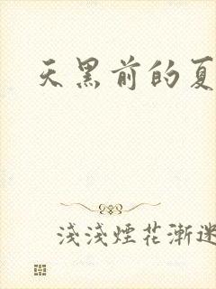 天黑前的夏天