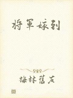将军嫁到