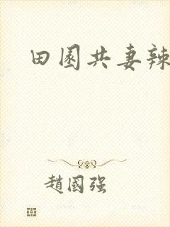 田园共妻辣封面