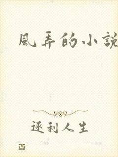 风弄的小说