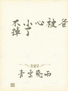 不小心被爸爸吃掉了