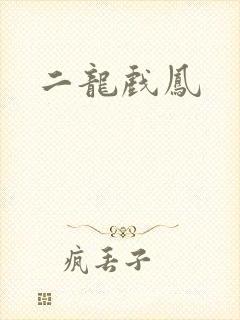 二龙戏凤