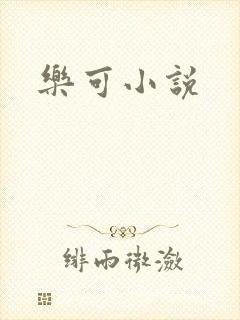 乐可小说封面