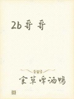 2b哥哥