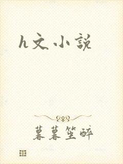 h文小说