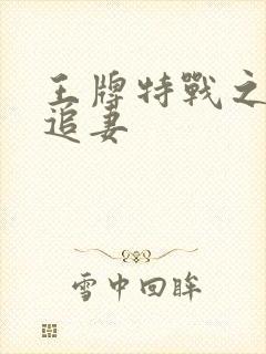 王牌特战之军少追妻