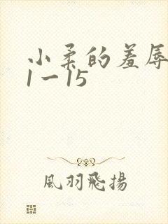 小柔的羞辱日记1一15封面