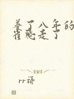 养了八年的金丝雀飞走了