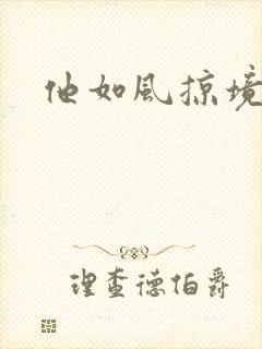 他如风掠境封面