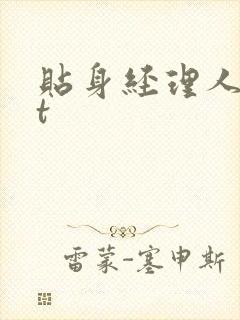 贴身经理人txt