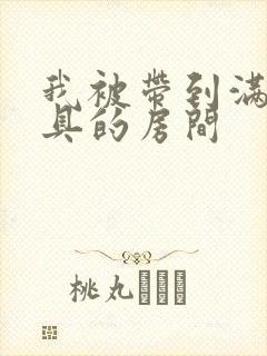 我被带到满是玩具的房间