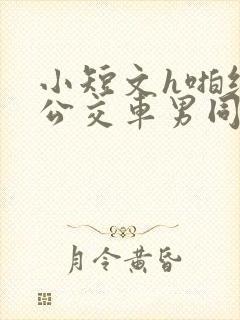 小短文h啪纯肉公交车男同