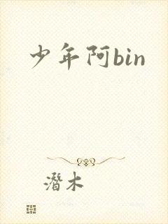 少年阿bin
