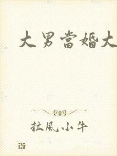 大男当婚大结局