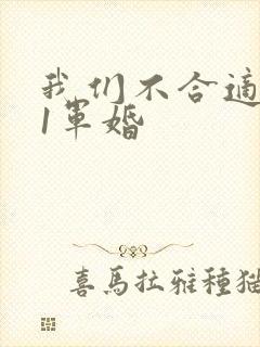 我们不合适1v1军婚