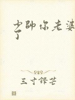 少帅你老婆又跑了