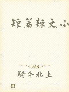 短篇辣文小说