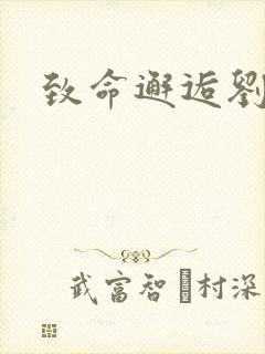 致命邂逅刘小寐