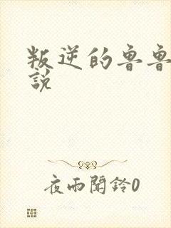 叛逆的鲁鲁修小说