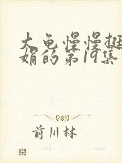 大龟慢慢挺进张娟的第19集封面