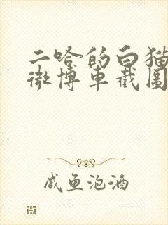 二哈的白猫师尊微博车截图封面